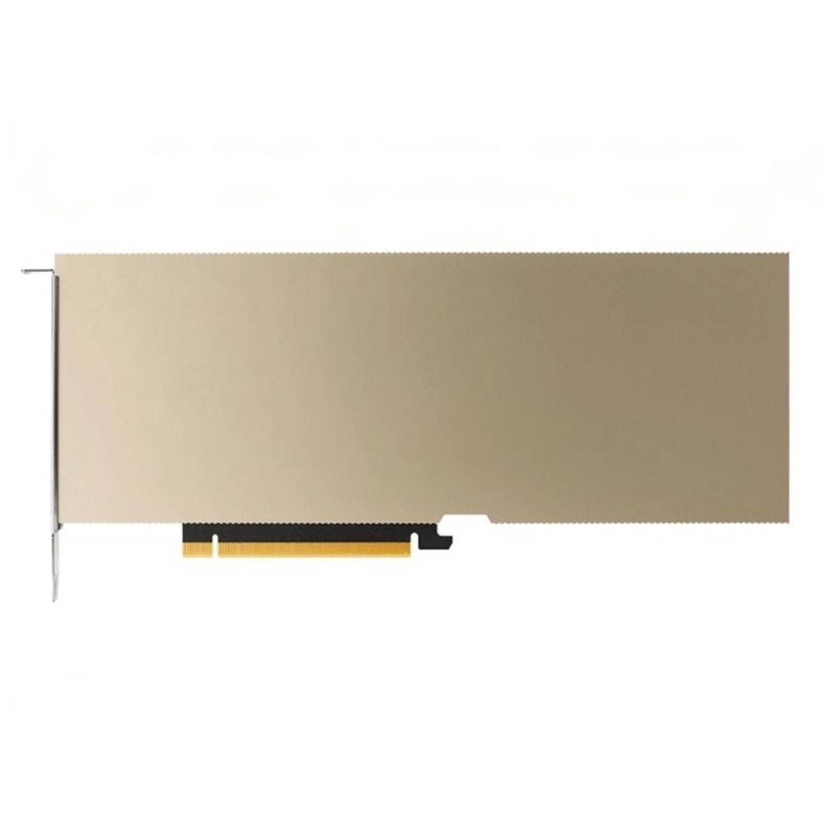 Видеокарта NVIDIA RTX PRO 4500 Blackwell Server Edition — 32GB, GDDR7, PCIe Gen5
